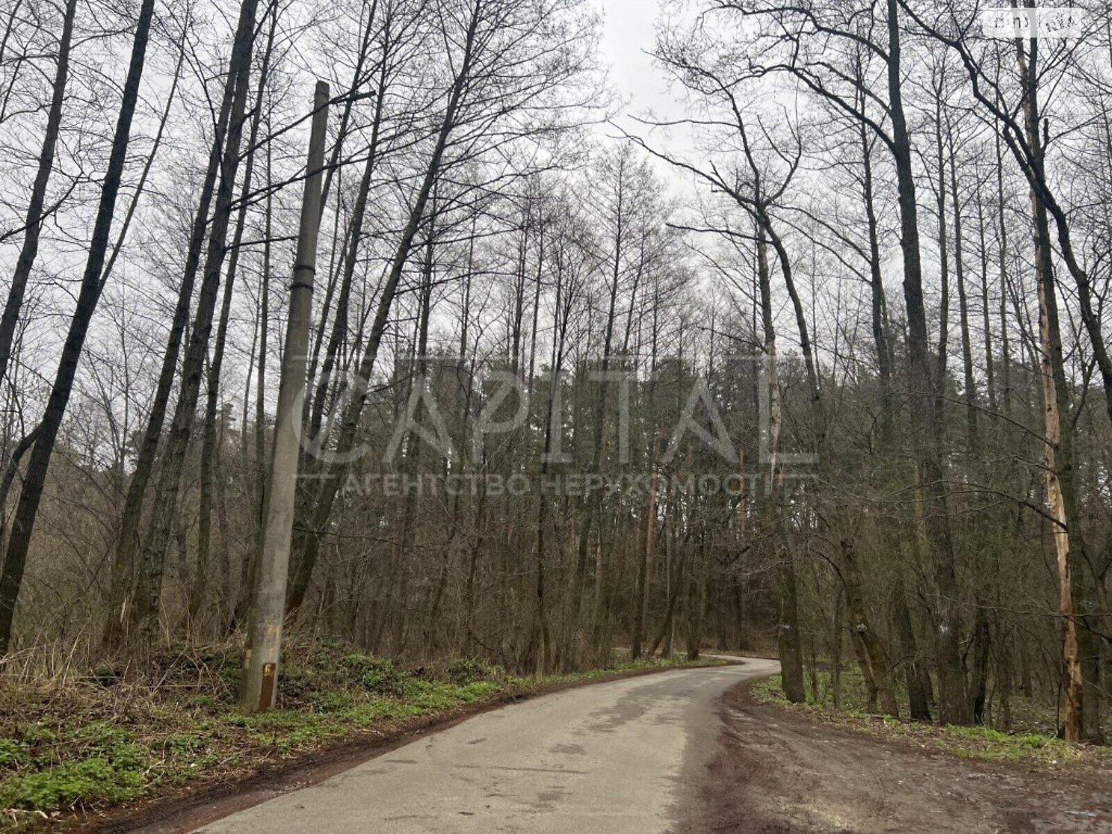 Земля під житлову забудову в Києві, район Голосіївський, площа 18 соток фото 1 Земля під житлову забудову в Києві, район Голосіївський, площа 18 соток фото 1