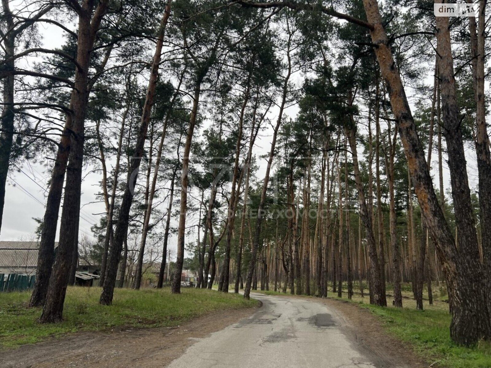 Земля під житлову забудову в Києві, район Голосіївський, площа 18 соток фото 1