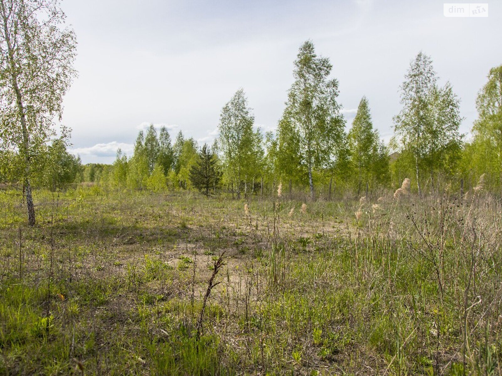 Земля під житлову забудову в Києві, район Конча-Заспа, площа 8.4 сотки фото 1