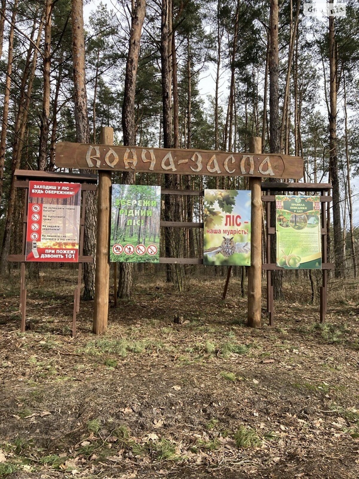 Земля під житлову забудову в Києві, район Голосіївський, площа 10 соток фото 1