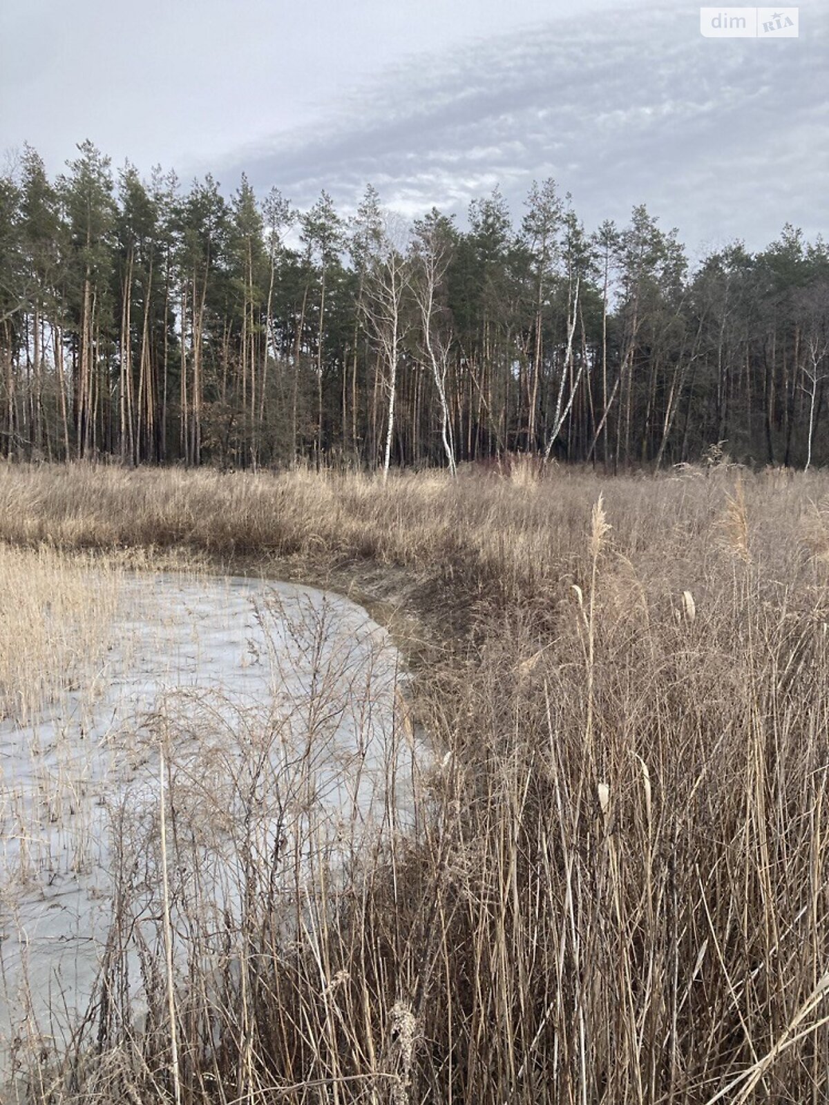 Земля під житлову забудову в Києві, район Голосіївський, площа 10 соток фото 1