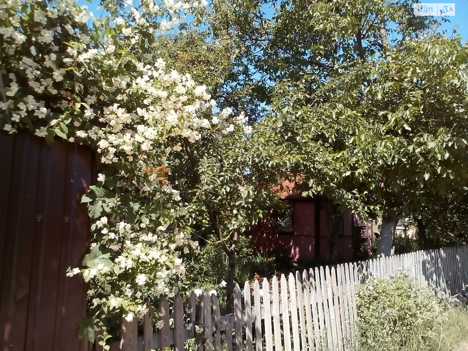 Земля під житлову забудову в Києві, район Нивки, площа 6 соток фото 1 Земля під житлову забудову в Києві, район Нивки, площа 6 соток фото 1