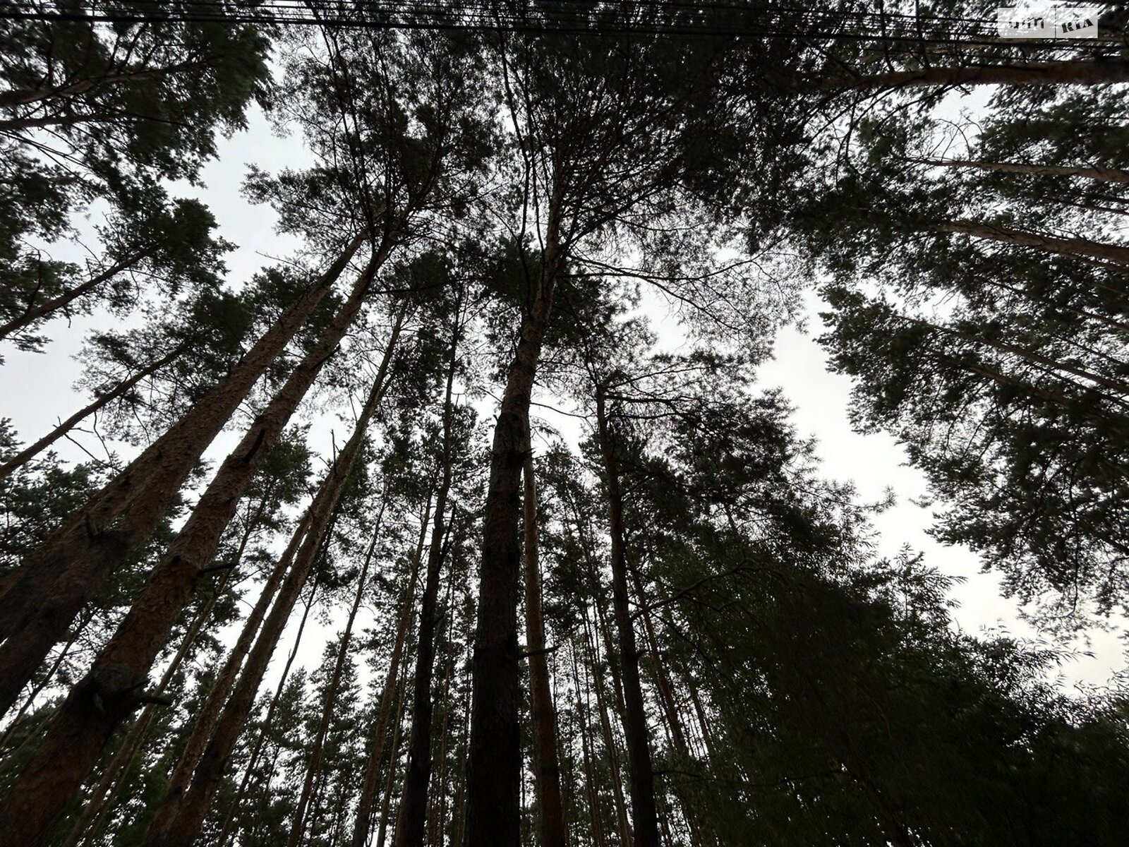 Земля під житлову забудову в Києві, район Оболонський, площа 8 соток фото 1