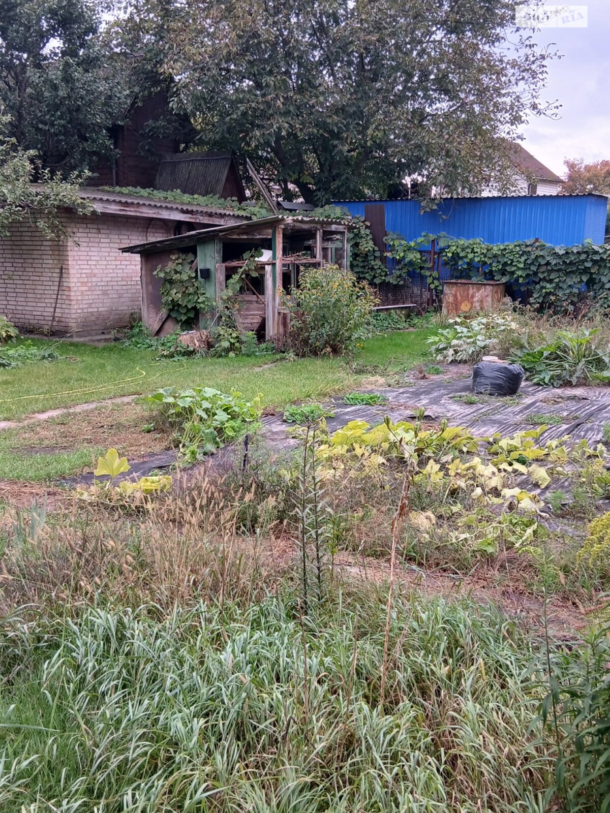 Земля під житлову забудову в Києві, район Осокорки, площа 5.27 сотки фото 1