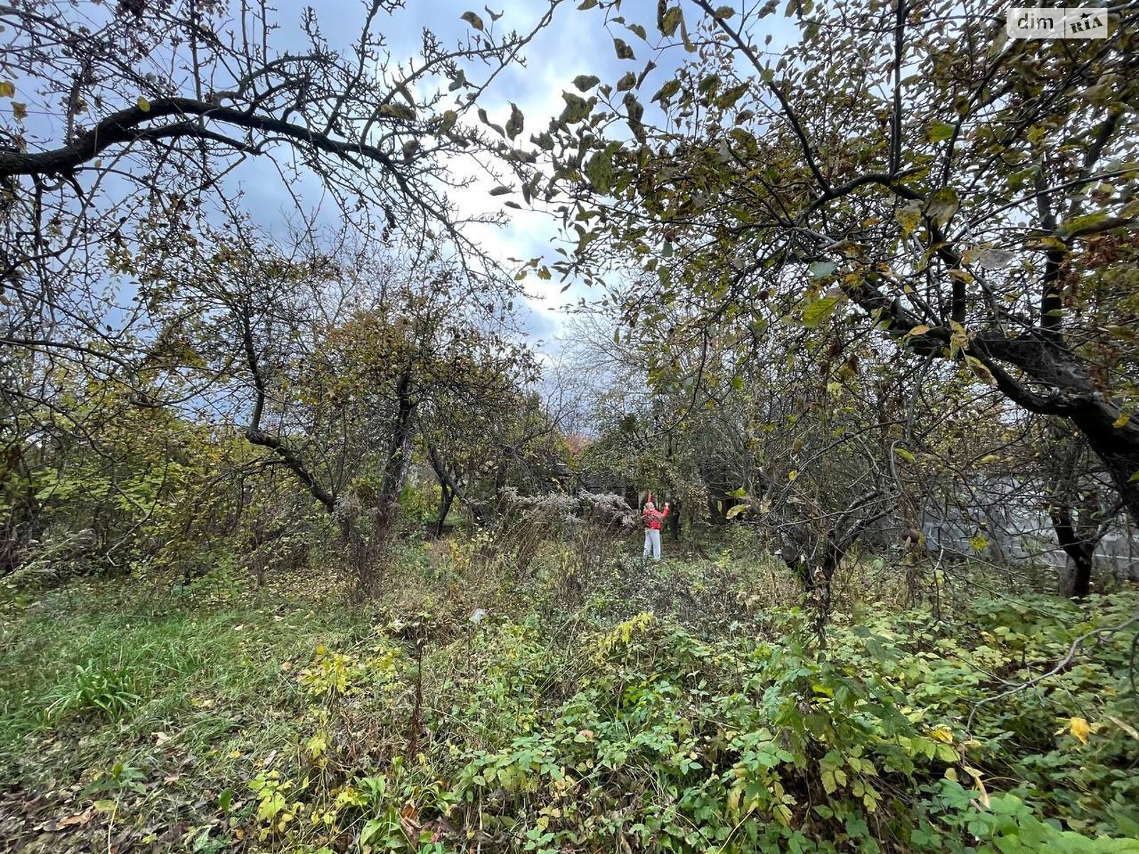 Земля под жилую застройку в Киеве, район Осокорки, площадь 6.2 сотки фото 1