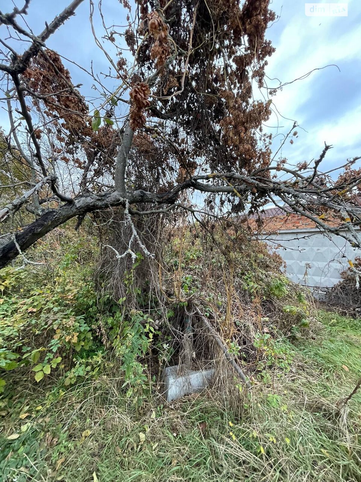 Земля под жилую застройку в Киеве, район Осокорки, площадь 6.2 сотки фото 1