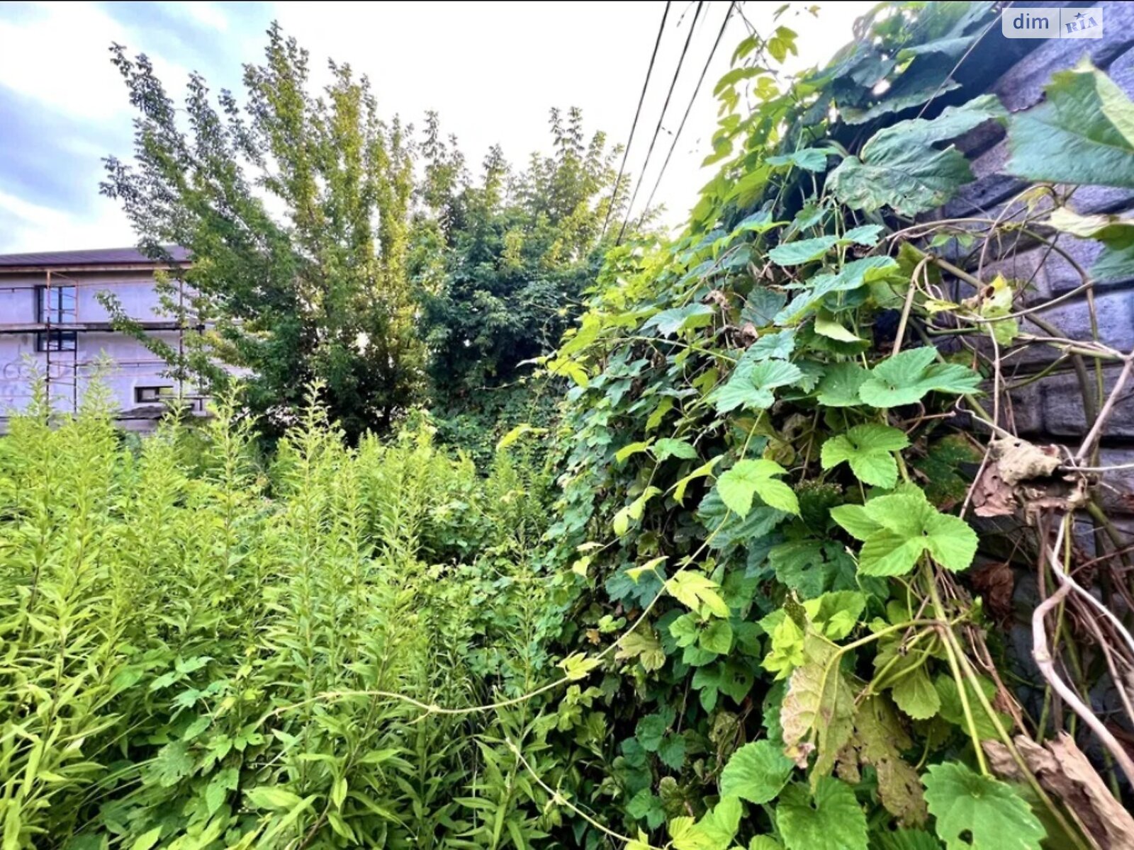 Земля під житлову забудову в Києві, район Русанівські Сади, площа 6 соток фото 1 Земля під житлову забудову в Києві, район Русанівські Сади, площа 6 соток фото 1