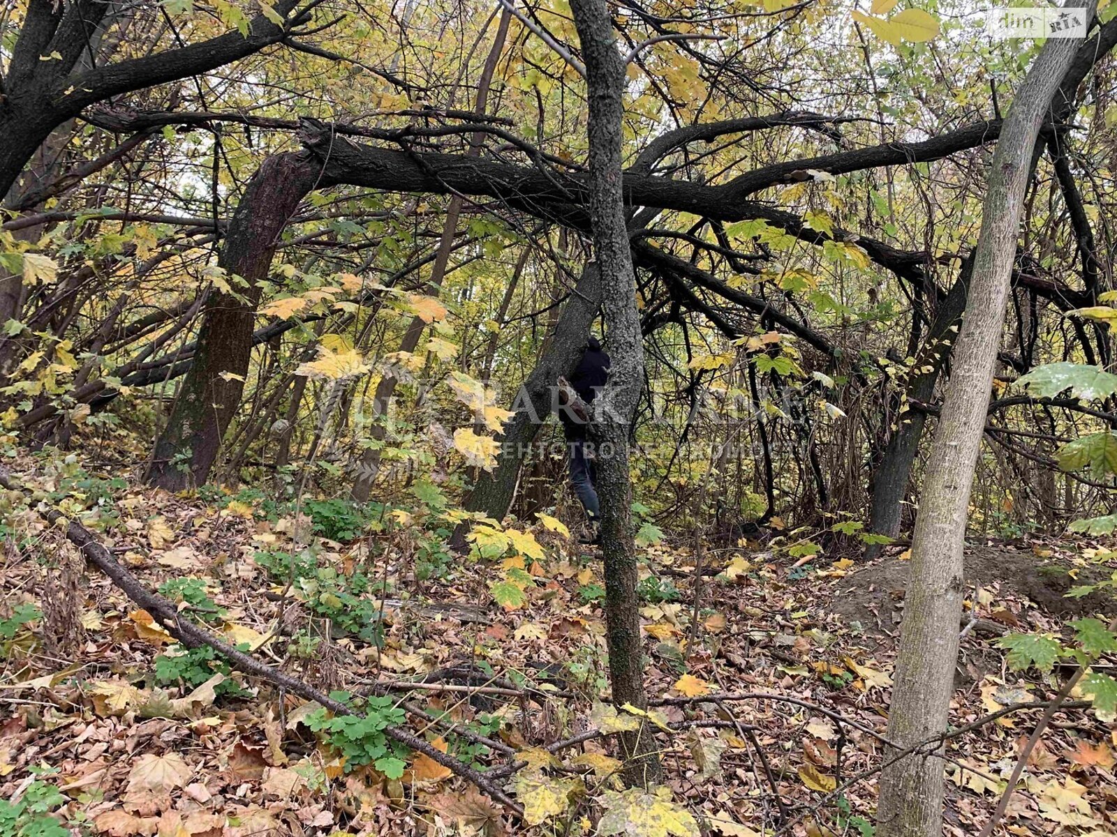 Земля під житлову забудову в Києві, район Солом’янський, площа 10 соток фото 1 Земля під житлову забудову в Києві, район Солом’янський, площа 10 соток фото 1