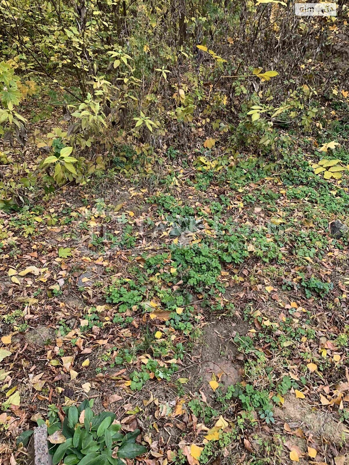 Земля під житлову забудову в Києві, район Солом’янський, площа 10 соток фото 1 Земля під житлову забудову в Києві, район Солом’янський, площа 10 соток фото 1