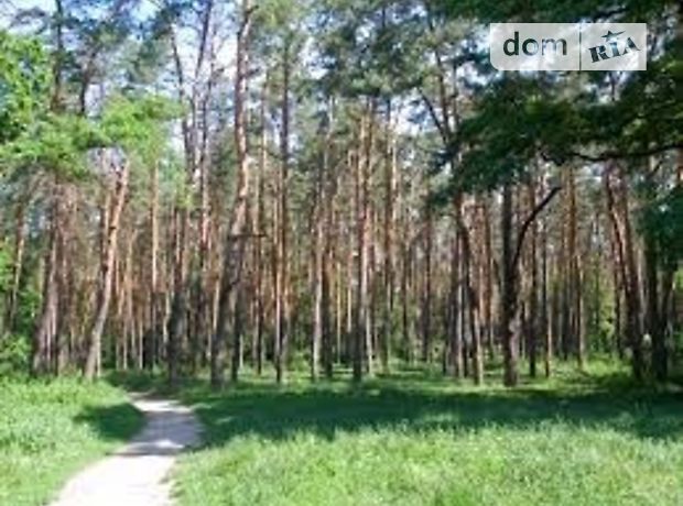 Земля под жилую застройку в Киеве, район Святошинский, площадь 10 соток фото 1 Земля под жилую застройку в Киеве, район Святошинский, площадь 10 соток фото 1