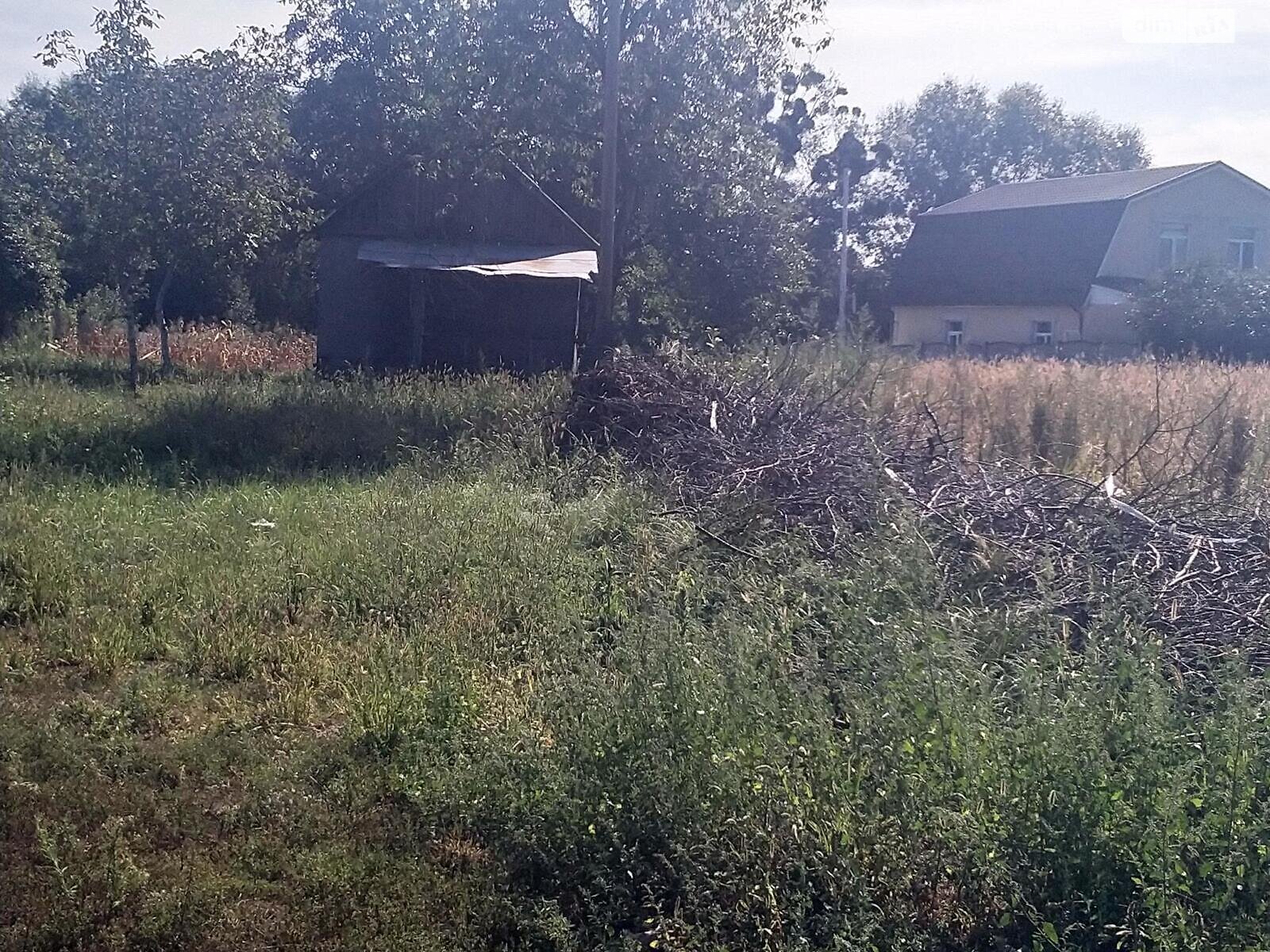 Земля під житлову забудову в Києві, район Віта-Литовська, площа 10 соток фото 1 Земля під житлову забудову в Києві, район Віта-Литовська, площа 10 соток фото 1