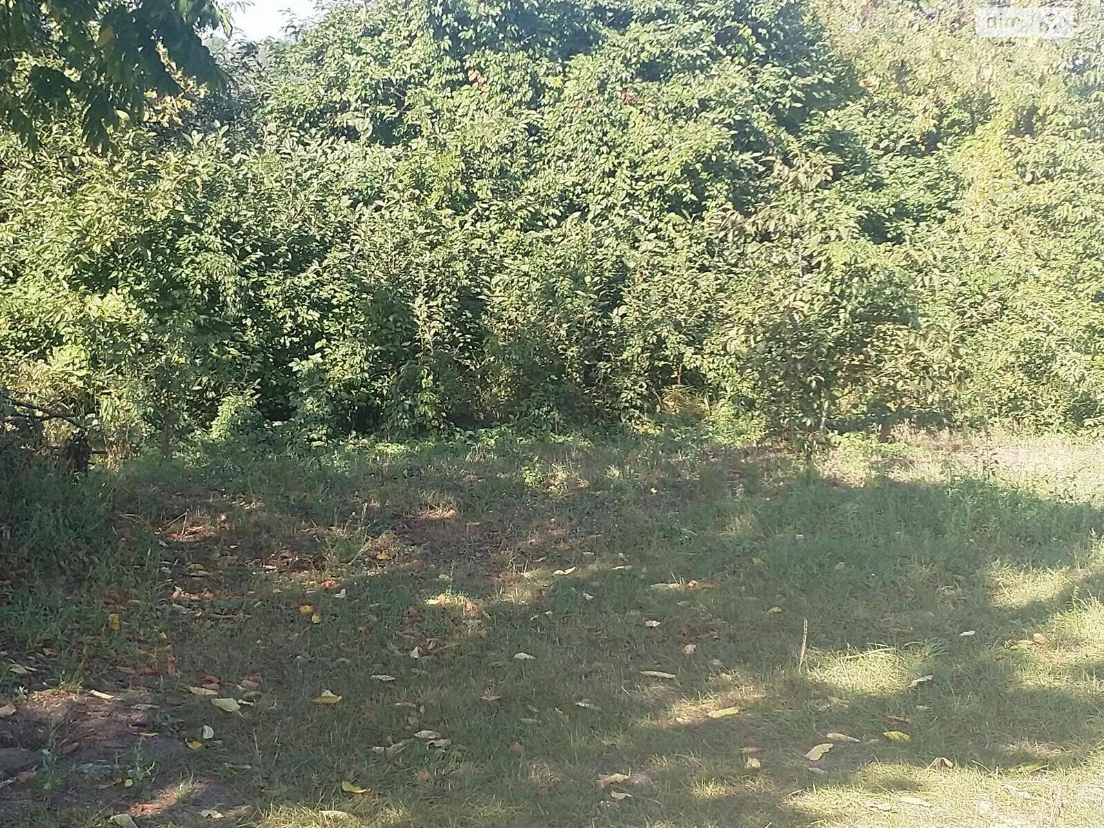 Земля під житлову забудову в Києві, район Віта-Литовська, площа 10 соток фото 1 Земля під житлову забудову в Києві, район Віта-Литовська, площа 10 соток фото 1
