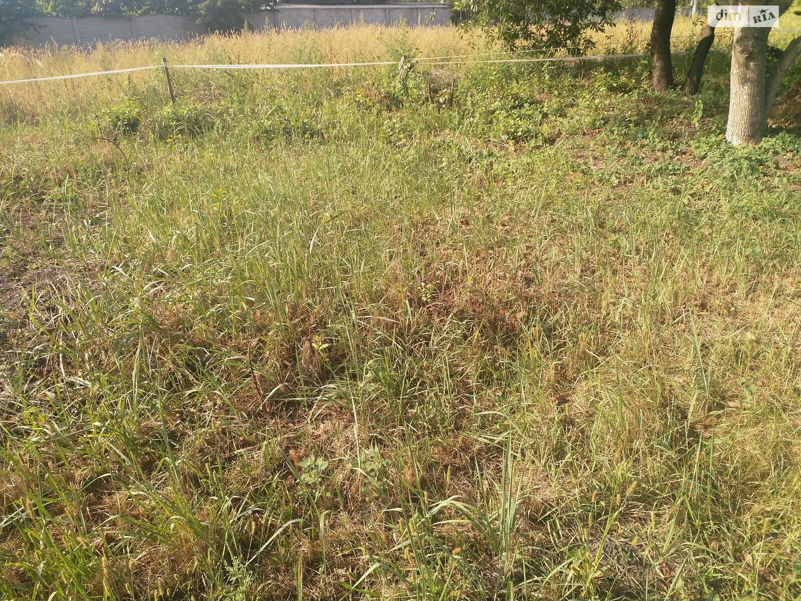 Земля під житлову забудову в Києві, район Віта-Литовська, площа 10 соток фото 1 Земля під житлову забудову в Києві, район Віта-Литовська, площа 10 соток фото 1