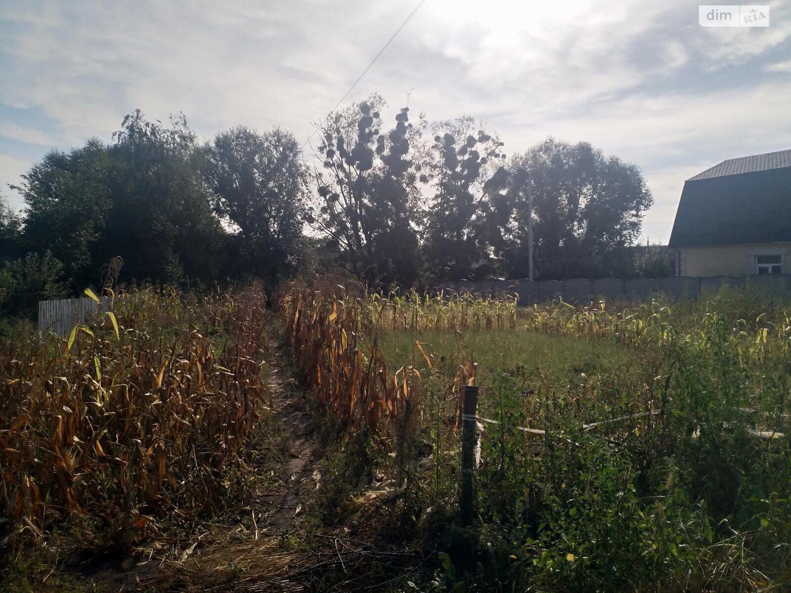 Земля під житлову забудову в Києві, район Віта-Литовська, площа 10 соток фото 1 Земля під житлову забудову в Києві, район Віта-Литовська, площа 10 соток фото 1