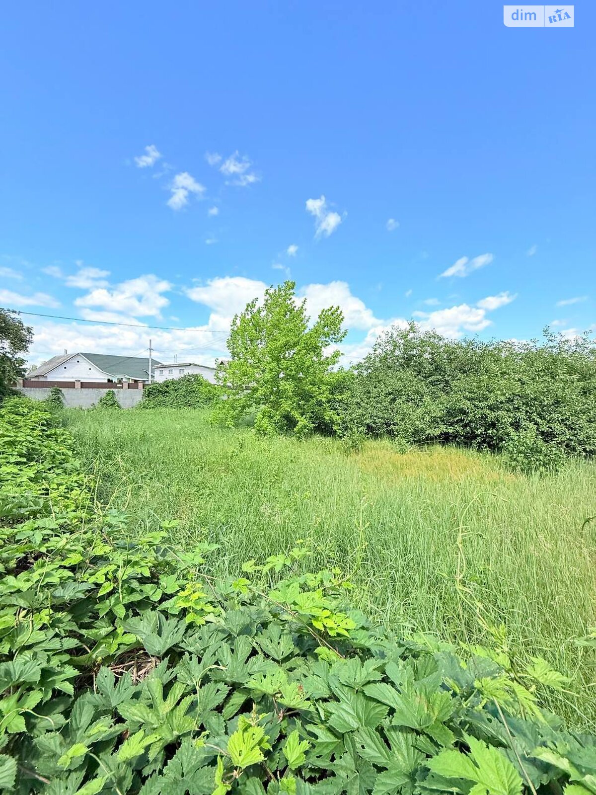 Земельна ділянка під житлову забудову в Києві, площа 5.72 сотки фото 1