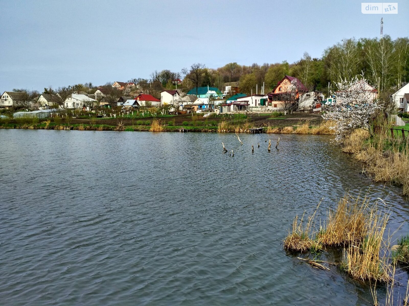 Земельный участок под жилую застройку в Деревяной, площадь 0.25 Га фото 1 Земельный участок под жилую застройку в Деревяной, площадь 0.25 Га фото 1