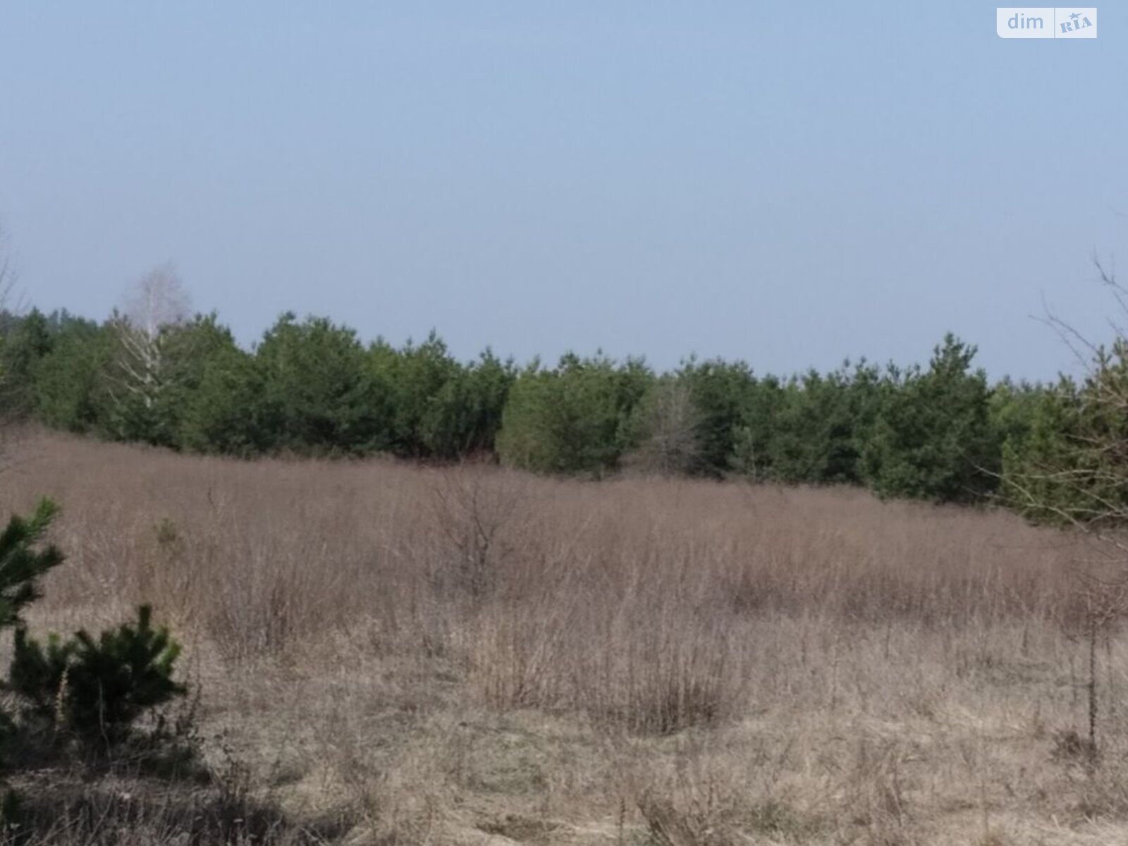 Земельна ділянка під житлову забудову в Києві, площа 4.3236 Га фото 1