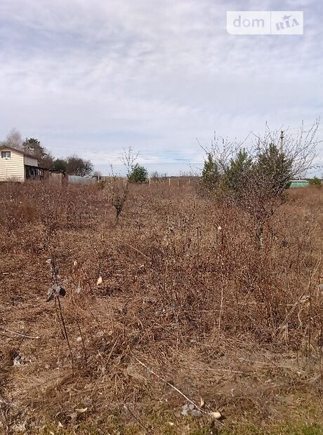 Земля под жилую застройку в селе Боярка, площадь 6 соток фото 1 Земля под жилую застройку в селе Боярка, площадь 6 соток фото 1