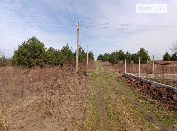 Земля под жилую застройку в селе Боярка, площадь 6 соток фото 1 Земля под жилую застройку в селе Боярка, площадь 6 соток фото 1
