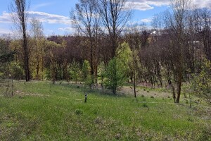 Земельный участок под жилую застройку в Гореничах, площадь 15.74 сотки фото 2