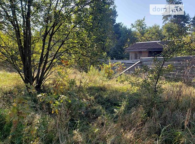 Земля под жилую застройку в селе Музычи, площадь 19.5 сотки фото 1 Земля под жилую застройку в селе Музычи, площадь 19.5 сотки фото 1