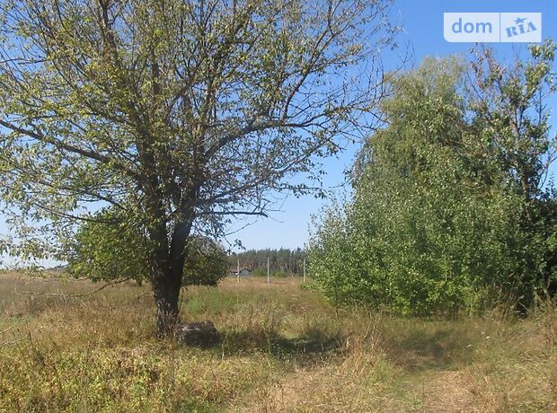 Земля под жилую застройку в селе Лесное, площадь 40 соток фото 1 Земля под жилую застройку в селе Лесное, площадь 40 соток фото 1