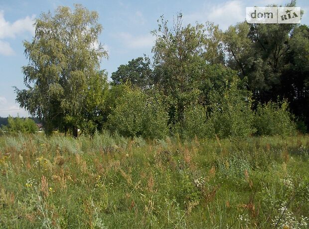 Земля под жилую застройку в селе Лесное, площадь 40 соток фото 1 Земля под жилую застройку в селе Лесное, площадь 40 соток фото 1