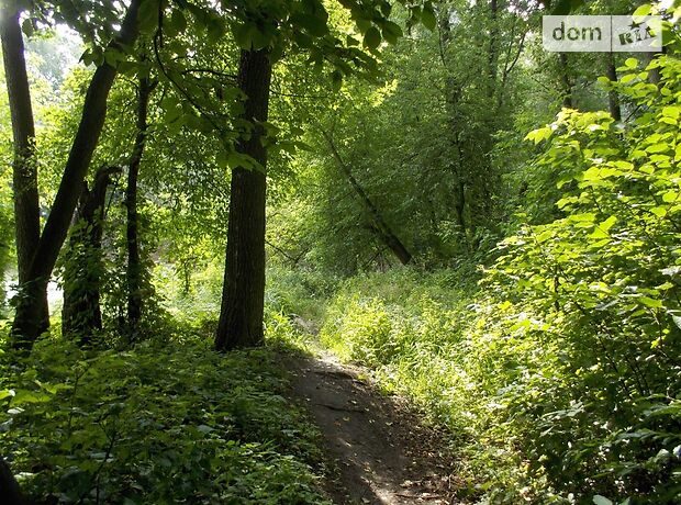 Земля под жилую застройку в селе Лесное, площадь 40 соток фото 1 Земля под жилую застройку в селе Лесное, площадь 40 соток фото 1