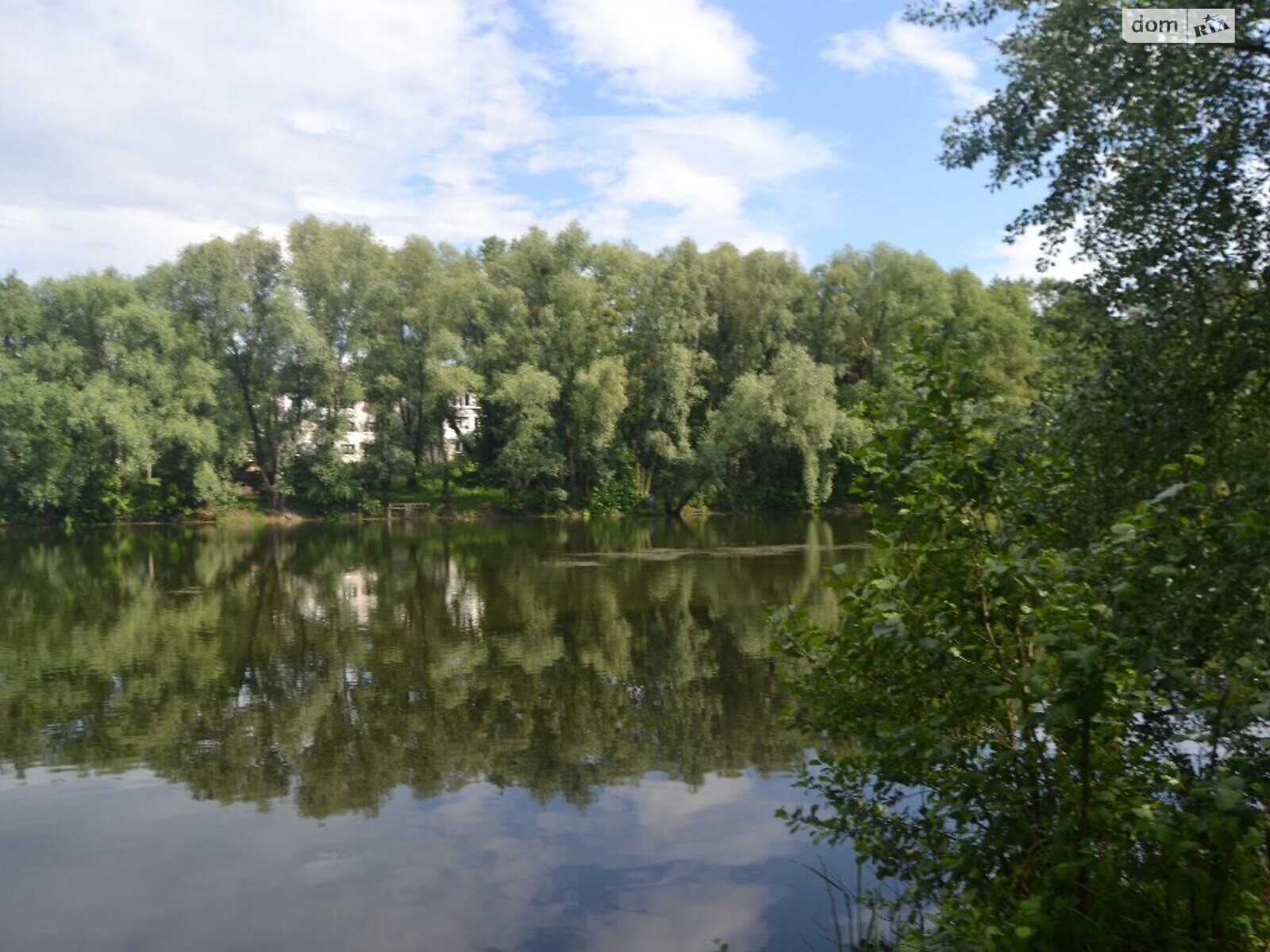 Земельна ділянка під житлову забудову в Лісне, площа 42 сотки фото 1