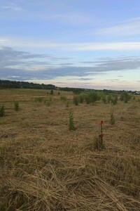 Земельный участок под жилую застройку в Михайловке-Рубежовке, площадь 17 соток фото 2
