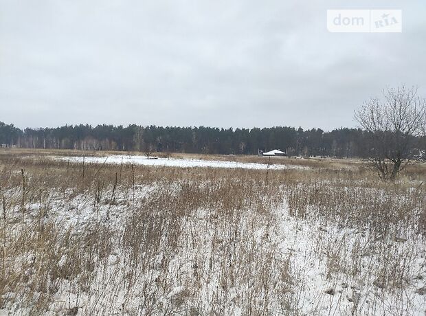 Земля под жилую застройку в селе Михайловка-Рубежовка, площадь 12.5 сотки фото 1 Земля под жилую застройку в селе Михайловка-Рубежовка, площадь 12.5 сотки фото 1