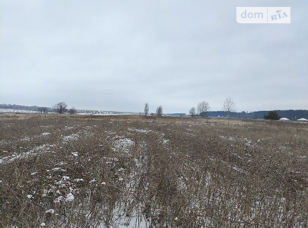 Земля под жилую застройку в селе Михайловка-Рубежовка, площадь 12.5 сотки фото 1 Земля под жилую застройку в селе Михайловка-Рубежовка, площадь 12.5 сотки фото 1