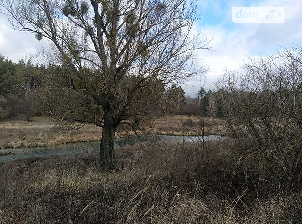 Земля под жилую застройку в селе Мироцкое, площадь 14.8 Га фото 1 Земля под жилую застройку в селе Мироцкое, площадь 14.8 Га фото 1