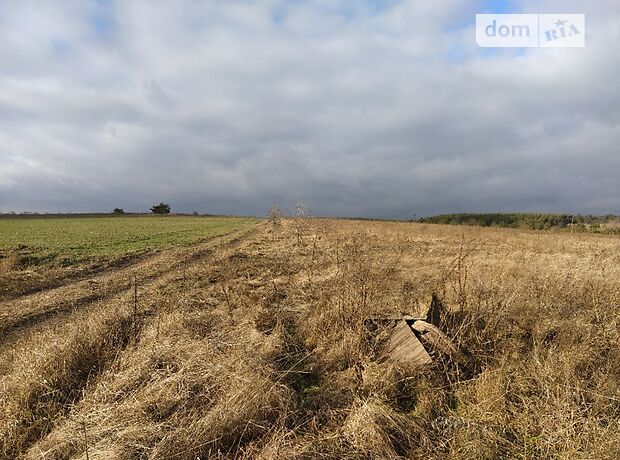 Земля под жилую застройку в селе Мироцкое, площадь 14.8 Га фото 1 Земля под жилую застройку в селе Мироцкое, площадь 14.8 Га фото 1