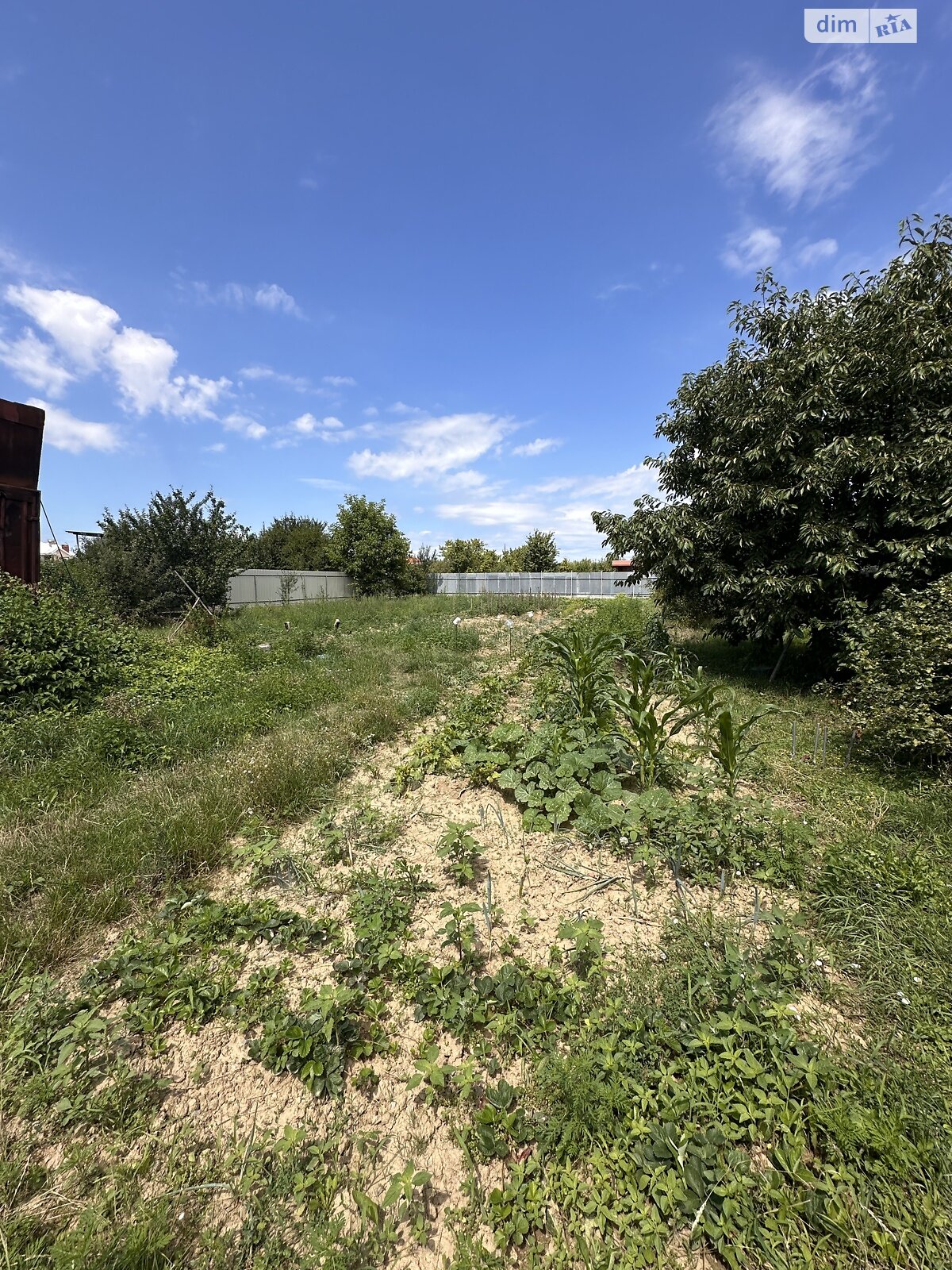 Земельный участок под жилую застройку в Кинчеше, площадь 15 соток фото 1 Земельный участок под жилую застройку в Кинчеше, площадь 15 соток фото 1