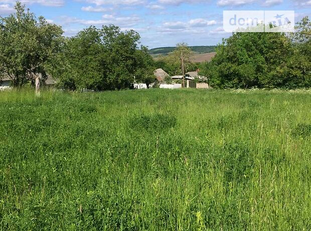 Земельный участок под жилую застройку в Кицмани, площадь 45 соток фото 1 Земельный участок под жилую застройку в Кицмани, площадь 45 соток фото 1