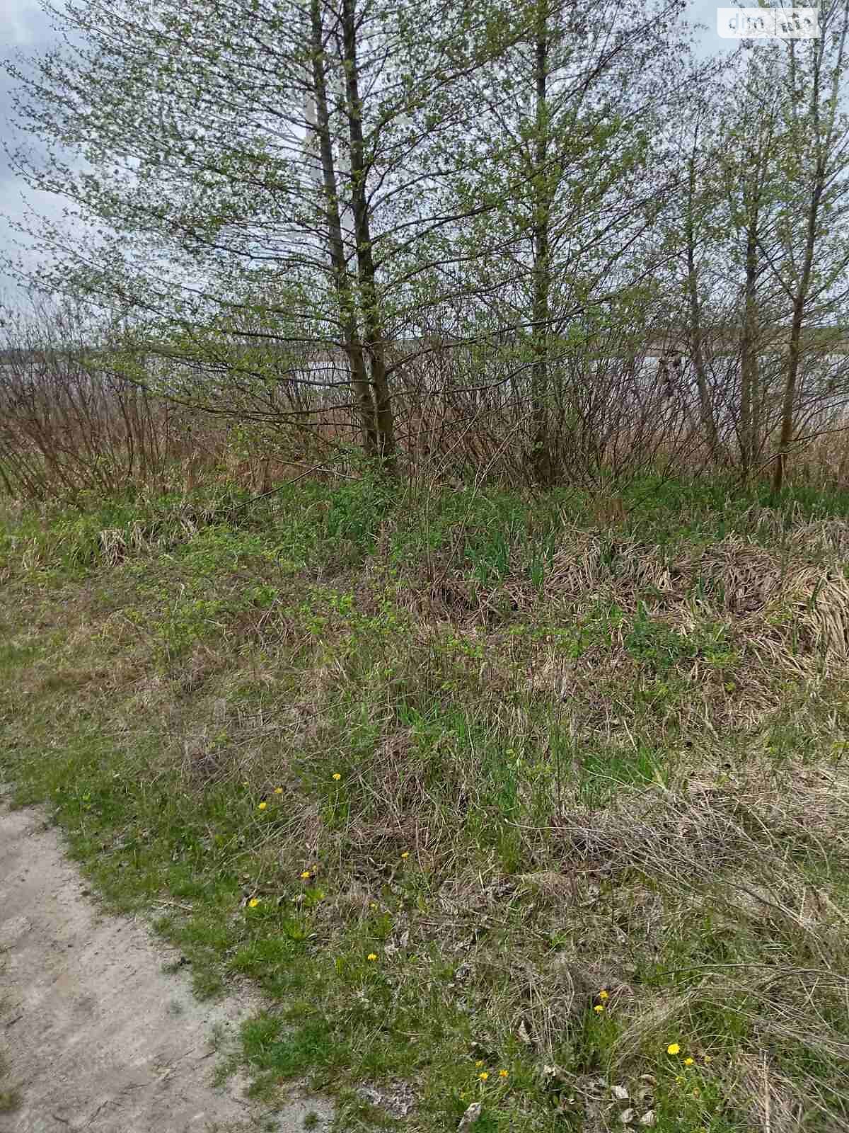 Земельна ділянка під житлову забудову в Кийлові, площа 12 соток фото 1 Земельна ділянка під житлову забудову в Кийлові, площа 12 соток фото 1