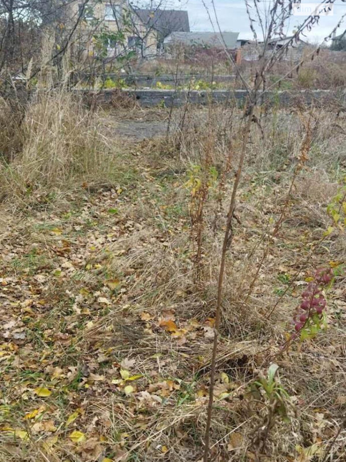 Земельна ділянка під житлову забудову в Клавдієво-Тарасовому, площа 8 соток фото 1