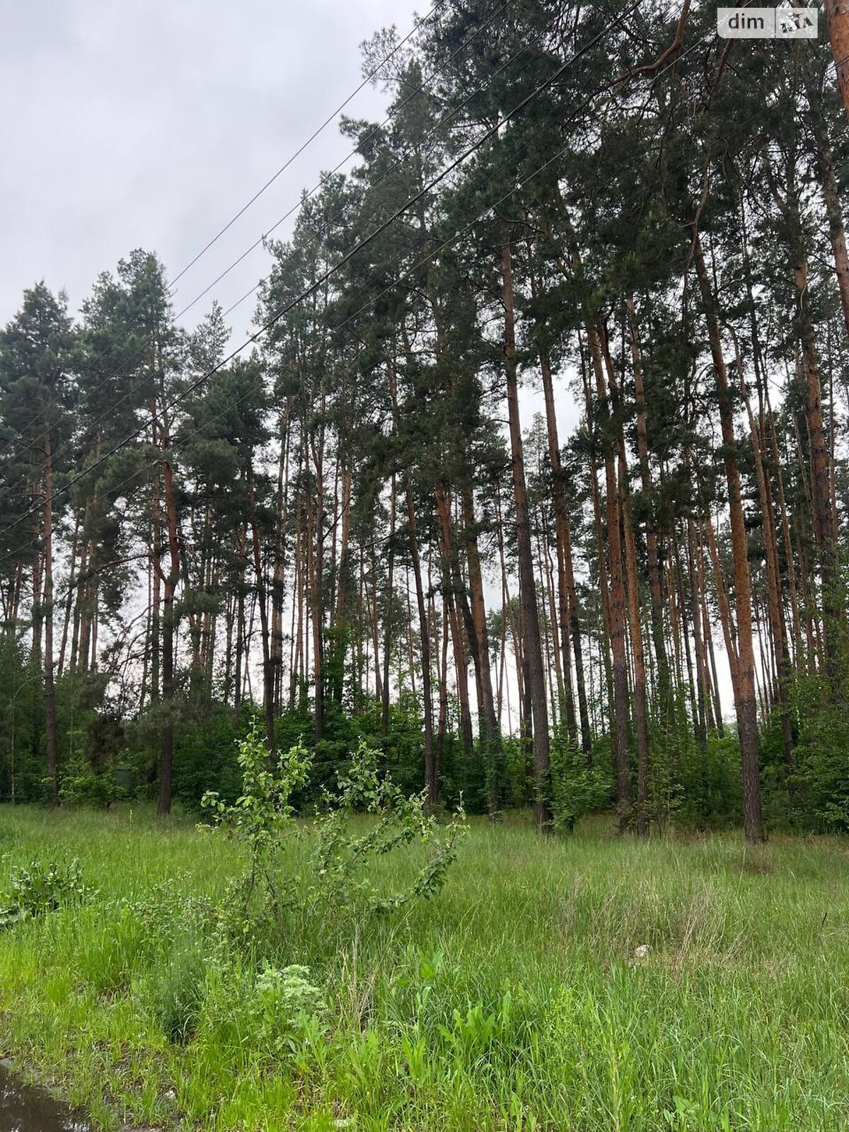 Земельна ділянка під житлову забудову в Клавдієво-Тарасовому, площа 12 соток фото 1 Земельна ділянка під житлову забудову в Клавдієво-Тарасовому, площа 12 соток фото 1