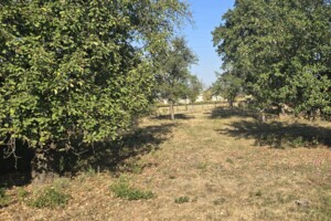 Земельный участок под жилую застройку в Клитчине, площадь 28.49 сотки фото 2