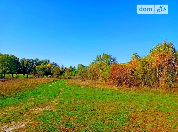 Земельный участок под жилую застройку в Клочкове, площадь 375 соток фото 1 Земельный участок под жилую застройку в Клочкове, площадь 375 соток фото 1