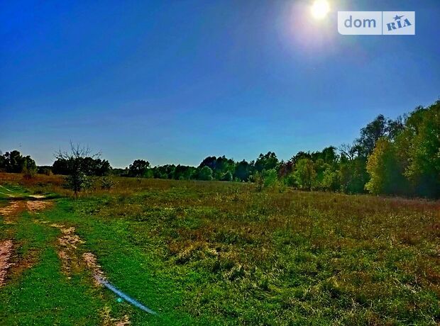 Земельный участок под жилую застройку в Клочкове, площадь 375 соток фото 1 Земельный участок под жилую застройку в Клочкове, площадь 375 соток фото 1