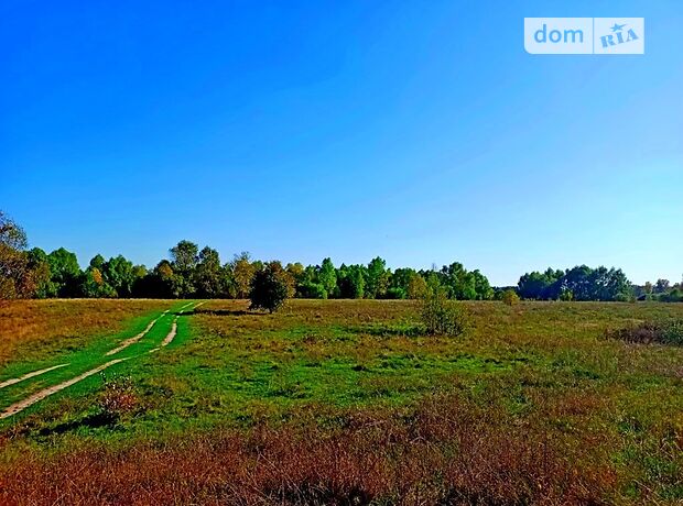 Земельный участок под жилую застройку в Клочкове, площадь 375 соток фото 1 Земельный участок под жилую застройку в Клочкове, площадь 375 соток фото 1