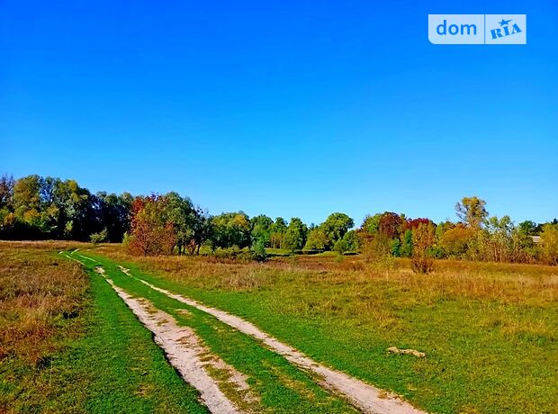 Земельный участок под жилую застройку в Клочкове, площадь 375 соток фото 1 Земельный участок под жилую застройку в Клочкове, площадь 375 соток фото 1