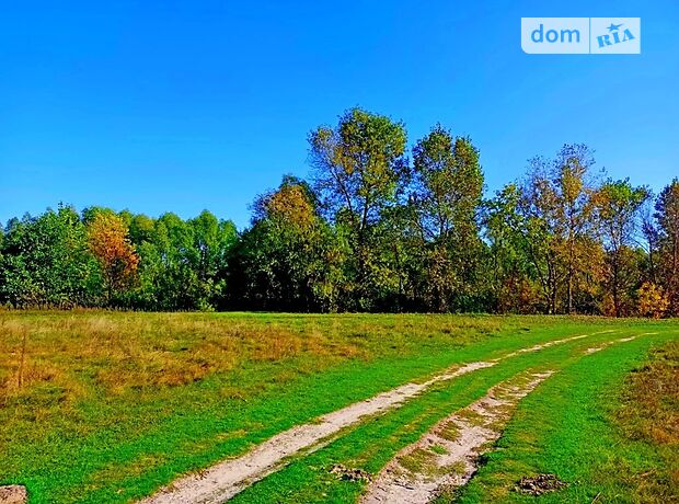 Земельный участок под жилую застройку в Клочкове, площадь 375 соток фото 1 Земельный участок под жилую застройку в Клочкове, площадь 375 соток фото 1