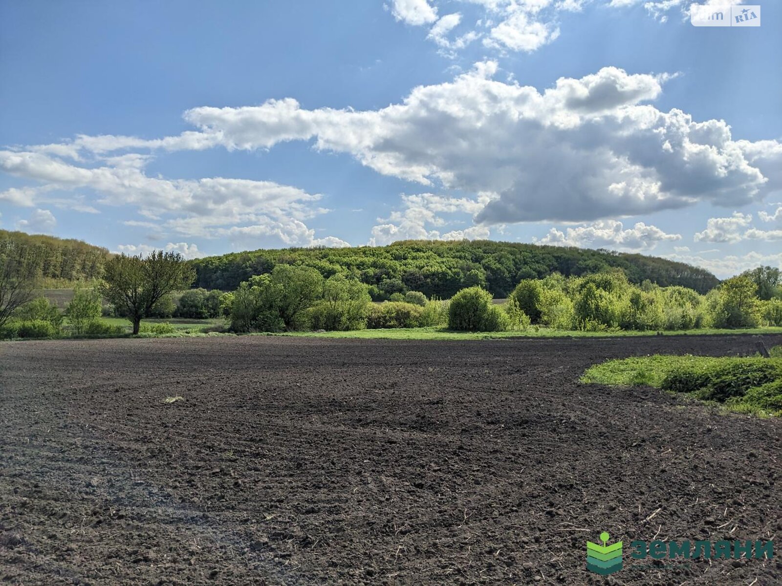 Земельна ділянка під житлову забудову в Клубівцях, площа 19.16 сотки фото 1 Земельна ділянка під житлову забудову в Клубівцях, площа 19.16 сотки фото 1