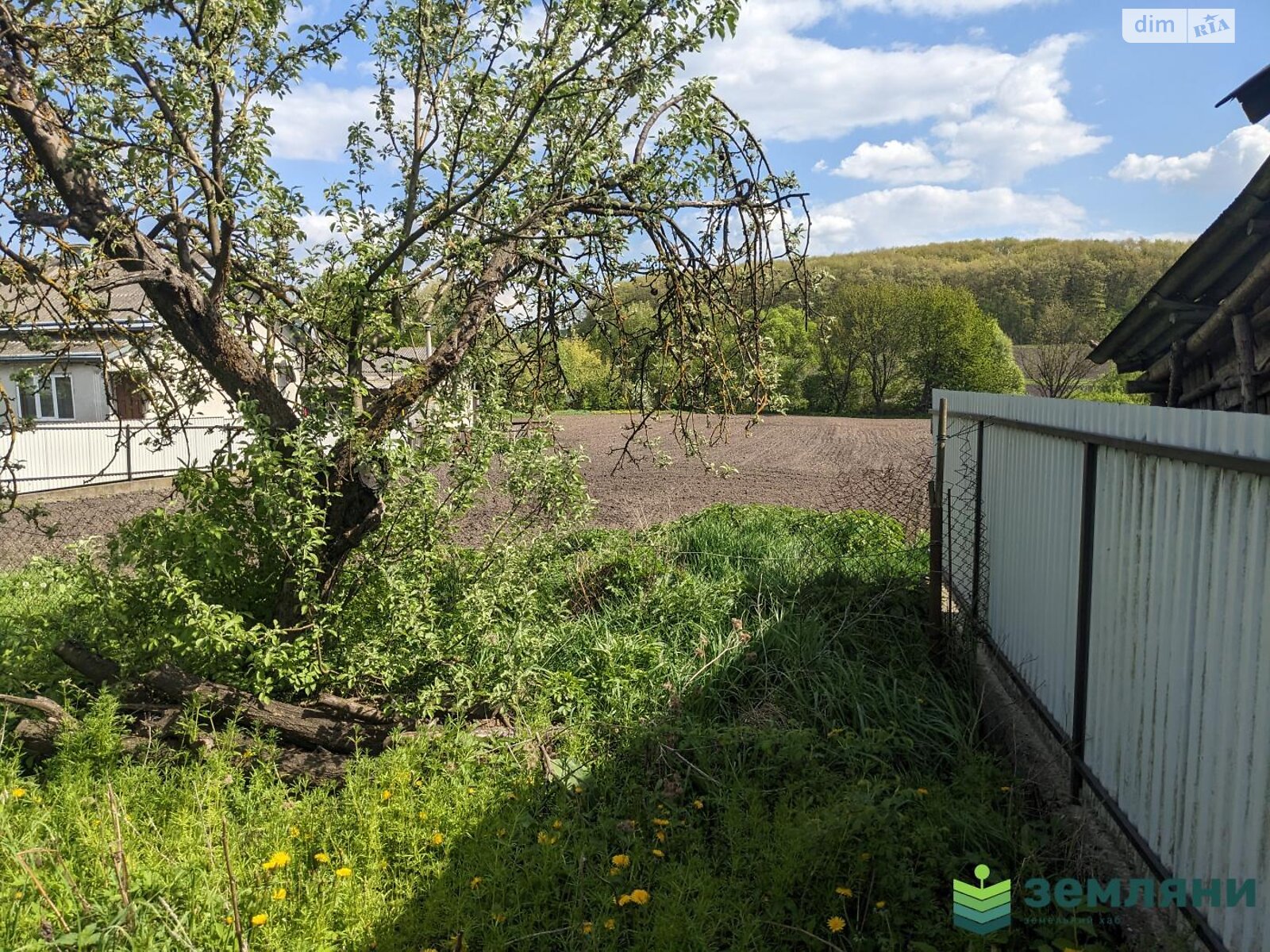 Земельна ділянка під житлову забудову в Клубівцях, площа 19.16 сотки фото 1 Земельна ділянка під житлову забудову в Клубівцях, площа 19.16 сотки фото 1
