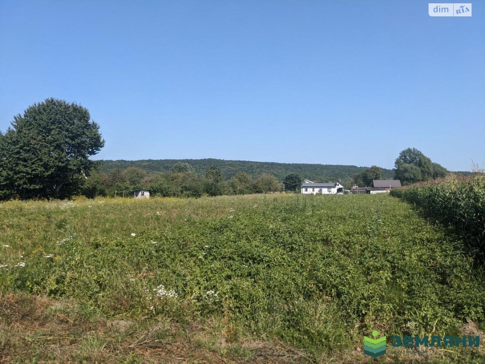 Земельна ділянка під житлову забудову в Клузові, площа 28.47 сотки фото 1 Земельна ділянка під житлову забудову в Клузові, площа 28.47 сотки фото 1