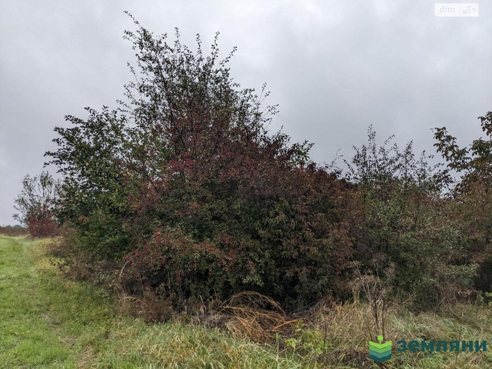 Земельный участок под жилую застройку в Клузове, площадь 18.53 сотки фото 1 Земельный участок под жилую застройку в Клузове, площадь 18.53 сотки фото 1