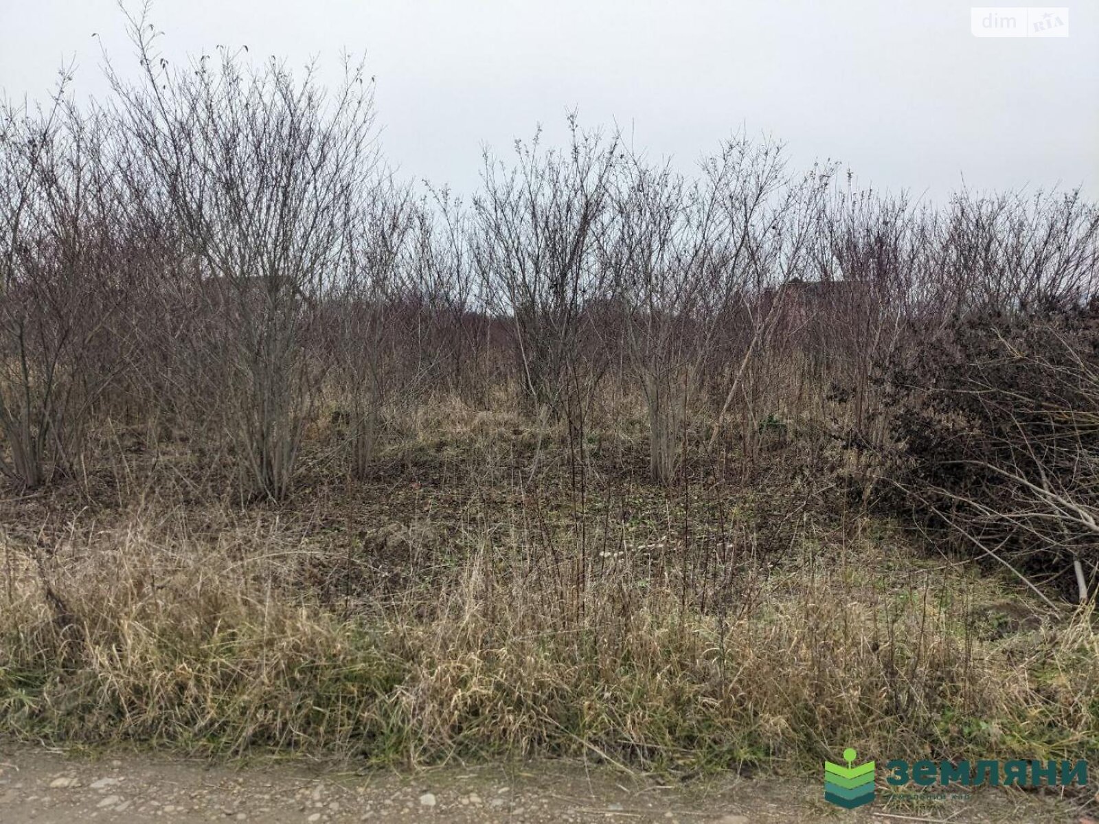 Земельный участок под жилую застройку в Клузове, площадь 5.95 сотки фото 1 Земельный участок под жилую застройку в Клузове, площадь 5.95 сотки фото 1